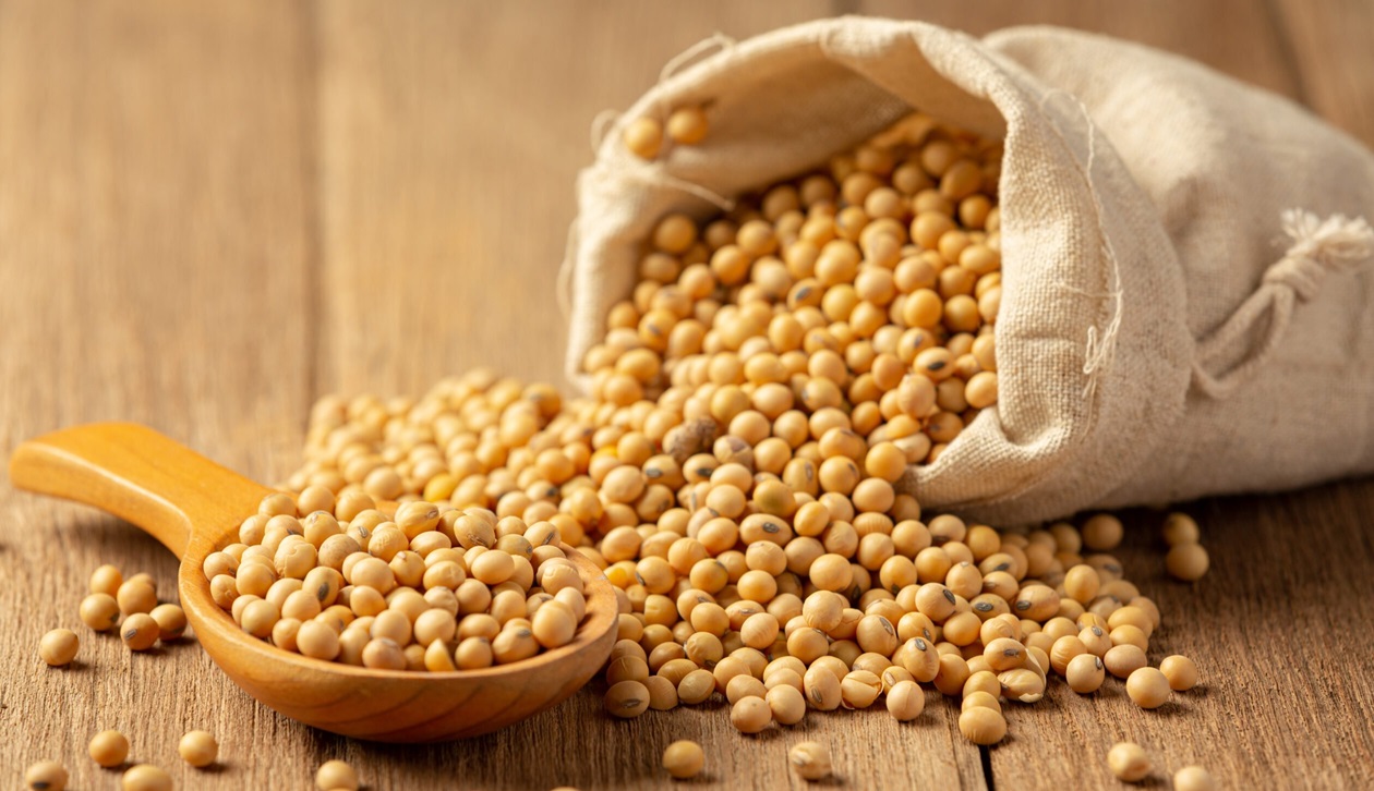 Premium Iranian Soybeans for Tunisia; Wholesale Supply, Import Guide & Tariffs (2025)